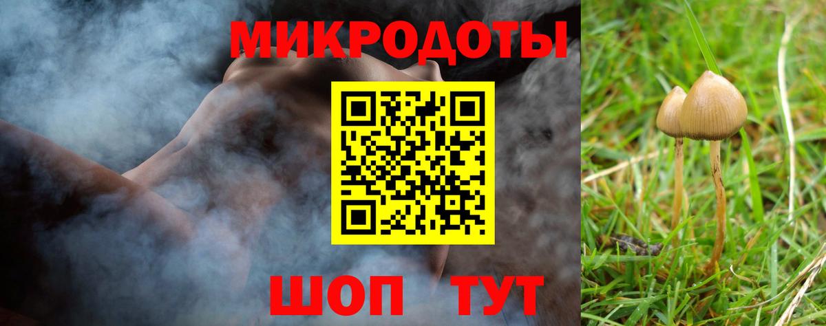 Нефтекамск  Галлюциногенные грибы Psilocybe  Вход с VPN 